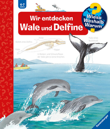 Bild zu Wieso? Weshalb? Warum?, Band 41: Wir entdecken Wale und Delfine von Rübel, Doris 