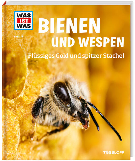 Bild von WAS IST WAS Band 19 Bienen und Wespen. Flüssiges Gold und spitzer Stachel von Rigos, Alexandra 