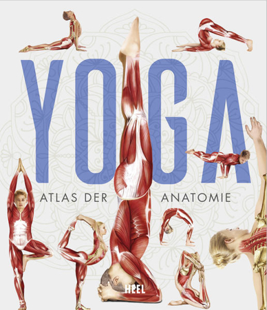 Bild zu YOGA - Atlas der Anatomie von Tengs, Svenja (Übers.)