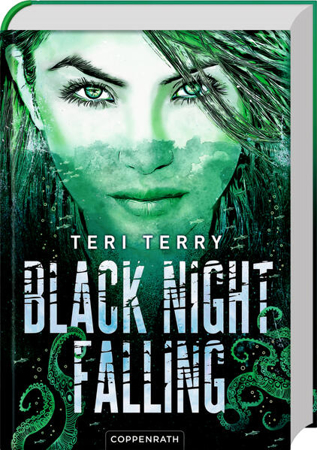 Bild zu Black Night Falling (Bd. 3) von Terry, Teri 