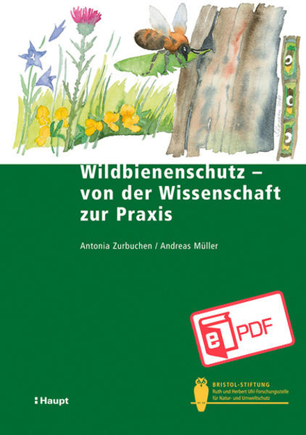 Bild von Wildbienenschutz - von der Wissenschaft zur Praxis (eBook) von Müller, Andreas 