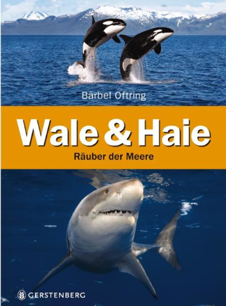 Bild zu Wale & Haie von Oftring, Bärbel 