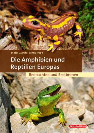 Bild zu Die Amphibien und Reptilien Europas von Glandt, Dieter 