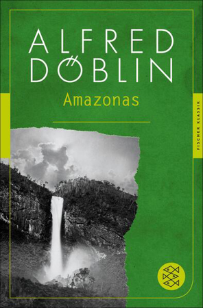 Bild zu Amazonas (eBook) von Döblin, Alfred