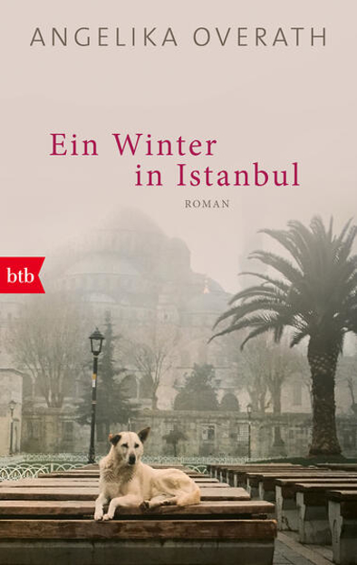 Bild zu Ein Winter in Istanbul von Overath, Angelika