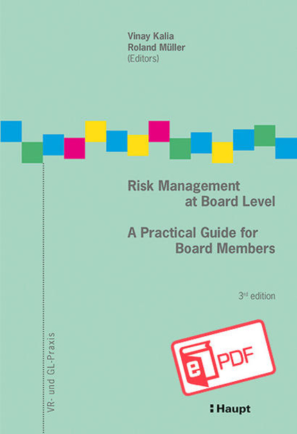 Bild zu Risk Management at Board Level (eBook) von Müller, Roland 