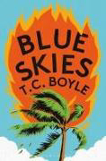 Bild zu Blue Skies von Boyle, T. C.
