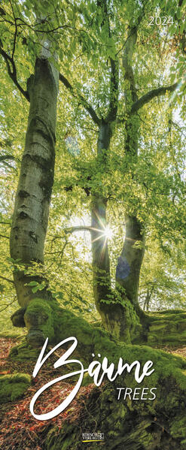 Bild von Bäume 2024 von Korsch, Verlag (Hrsg.)