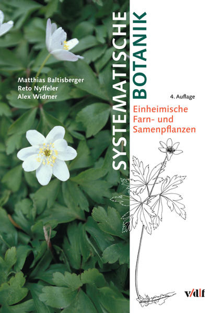 Bild zu Systematische Botanik von Baltisberger, Matthias 