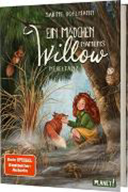 Bild zu Ein Mädchen namens Willow 4: Nebeltanz von Bohlmann, Sabine 