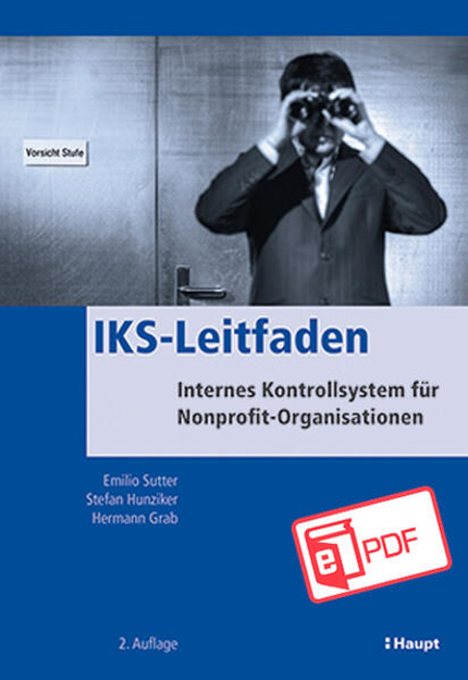 Bild zu IKS-Leitfaden (eBook) von Grab, Hermann 