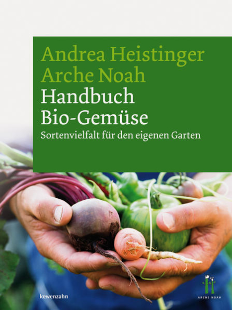 Bild zu Handbuch Bio-Gemüse von Heistinger, Andrea 