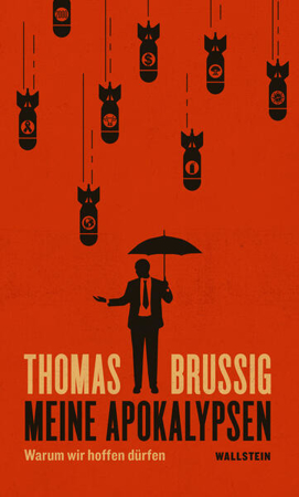 Bild zu Meine Apokalypsen von Brussig, Thomas