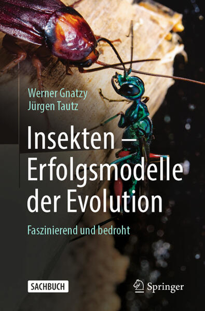 Bild zu Insekten - Erfolgsmodelle der Evolution von Gnatzy, Werner 
