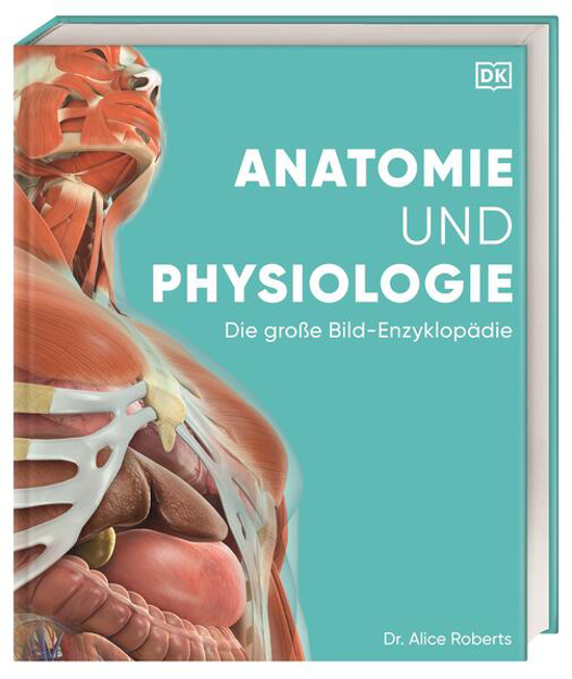 Bild zu Anatomie und Physiologie von Held, Andreas (Übers.) 