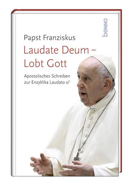 Bild zu Laudate Deum - Lobt Gott von Franziskus, Papst