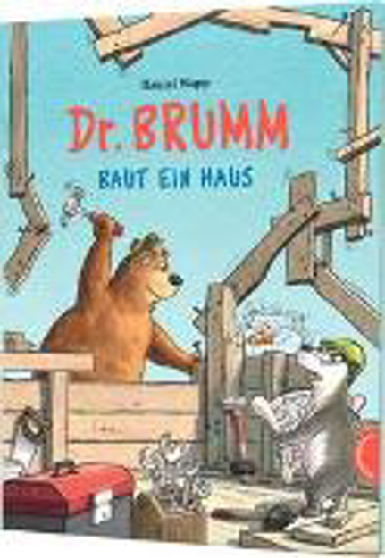 Bild zu Dr. Brumm: Dr. Brumm baut ein Haus von Napp, Daniel