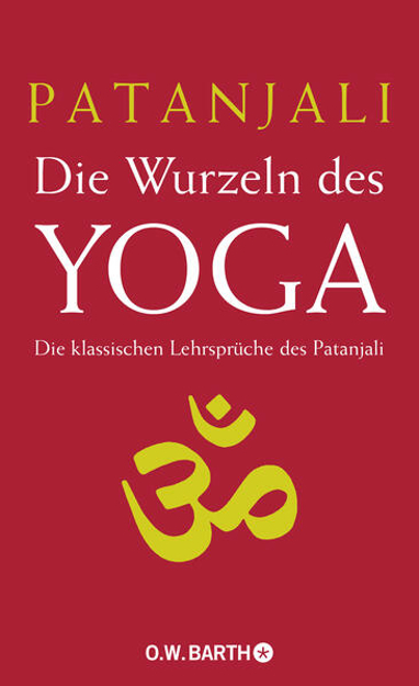 Bild zu Die Wurzeln des Yoga von Patanjali 