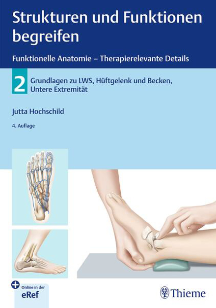 Bild zu Strukturen und Funktionen begreifen - Funktionelle Anatomie von Jutta Hochschild