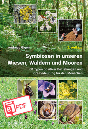 Bild zu Symbiosen in unseren Wiesen, Wäldern und Mooren (eBook) von Gigon, Andreas