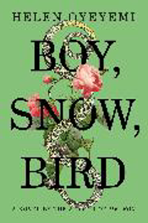 Bild zu Boy, Snow, Bird von Oyeyemi, Helen