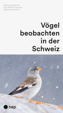 Bild zu Vögel beobachten in der Schweiz (Neuauflage) von Schweizer, Manuel 
