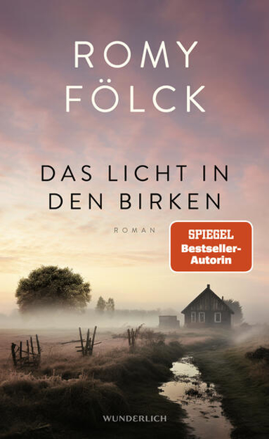 Bild zu Das Licht in den Birken von Fölck, Romy