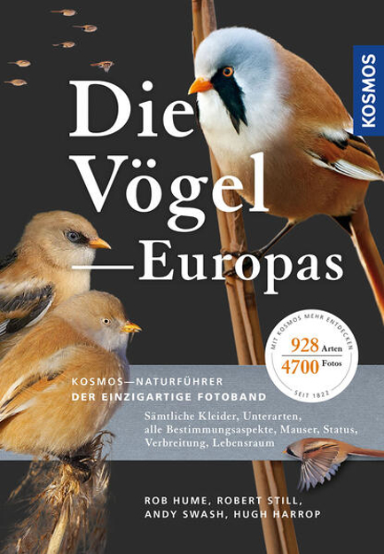 Bild zu Die Vögel Europas von Hume, Rob 