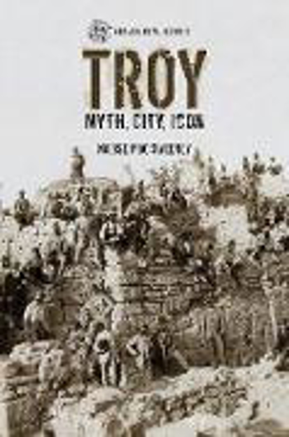 Bild zu Troy (eBook) von Mac Sweeney, Naoise