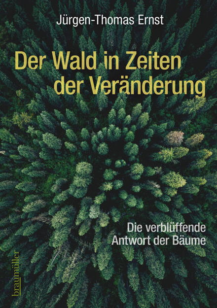 Bild zu Der Wald in Zeiten der Veränderung von Ernst, Jürgen-Thomas