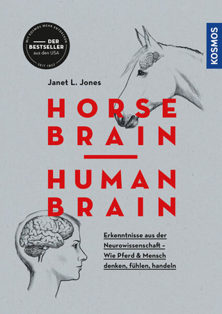 Bild zu Horse Brain, Human Brain von Jones, Janet L.