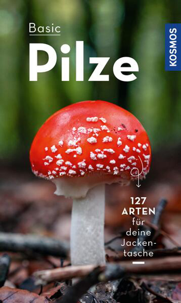 Bild zu BASIC Pilze (eBook) von Flück, Markus