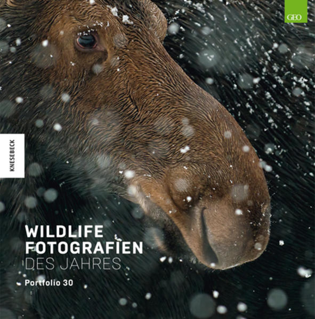 Bild zu Wildlife Fotografien des Jahres - Portfolio 30 von Natural History Museum (Hrsg.) 