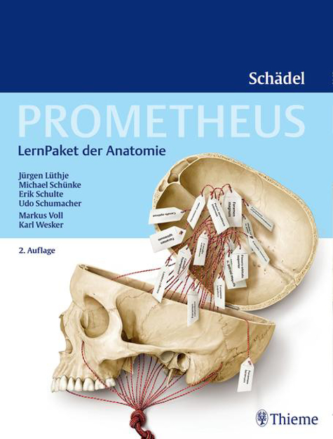Bild zu PROMETHEUS LernPaket Anatomie Schädel von Lüthje, Jürgen 