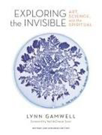 Bild zu Exploring the Invisible von Gamwell, Lynn