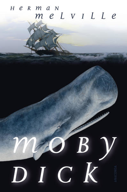 Bild zu Moby Dick oder Der weiße Wal (Roman) von Melville, Herman 