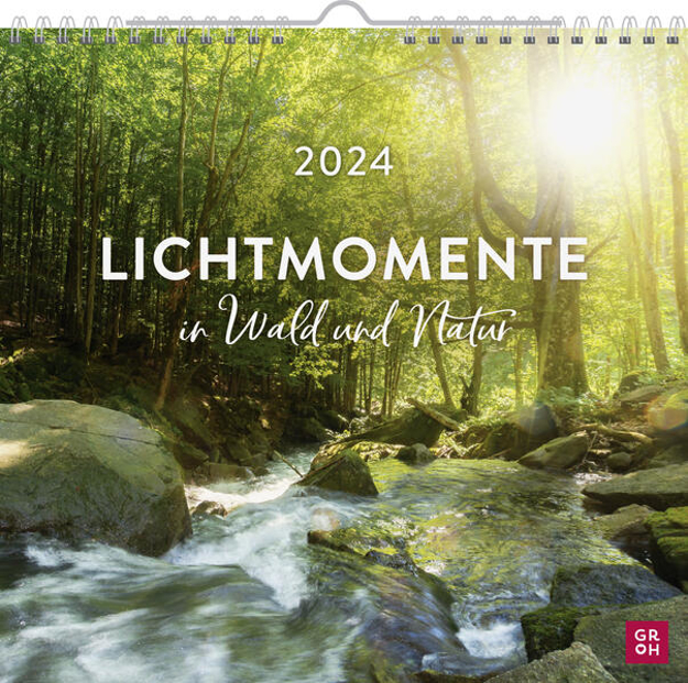 Bild zu Wandkalender 2024: Lichtmomente in Wald und Natur von Groh Verlag (Hrsg.)