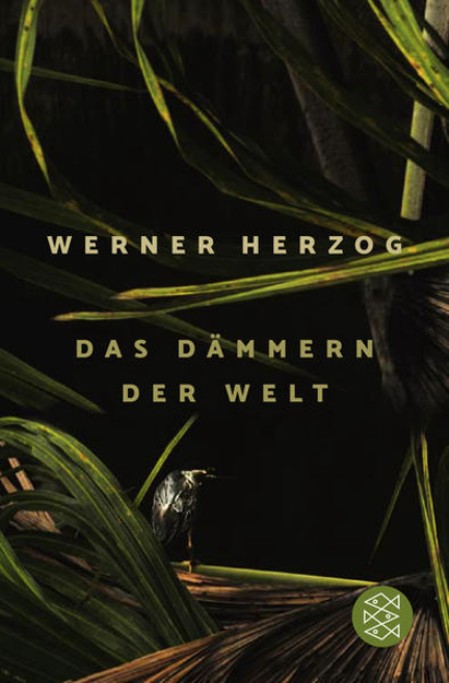 Bild zu Das Dämmern der Welt von Herzog, Werner