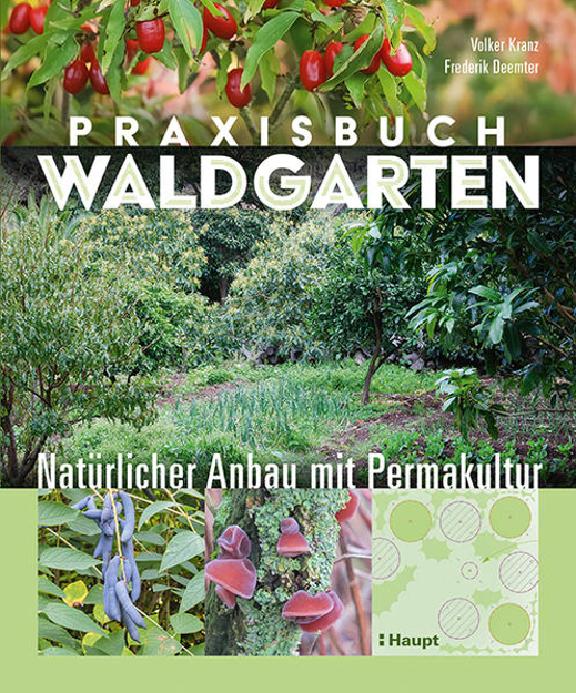 Bild zu Praxisbuch Waldgarten von Kranz, Volker 
