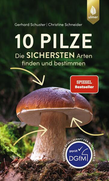 Bild zu 10 Pilze von Schuster, Gerhard 