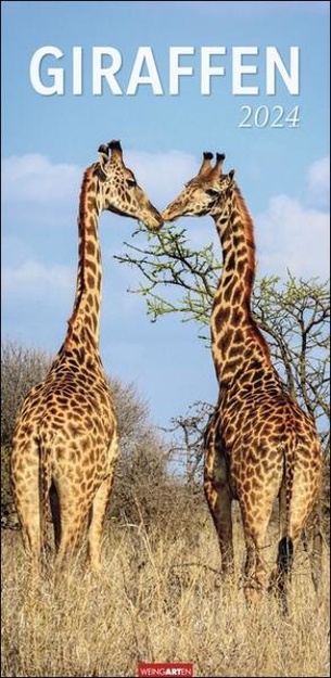 Bild zu Giraffen Kalender 2024 XL Hochformat. Die beliebten Tiere in einem länglichen Kalender porträtiert. Wandkalender für Tierfreunde. Großformat 33x68 cm