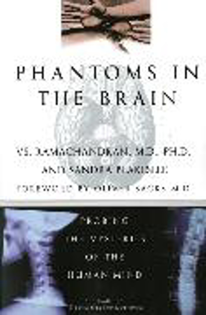 Bild zu Phantoms in the Brain von Ramachandran, V. S.