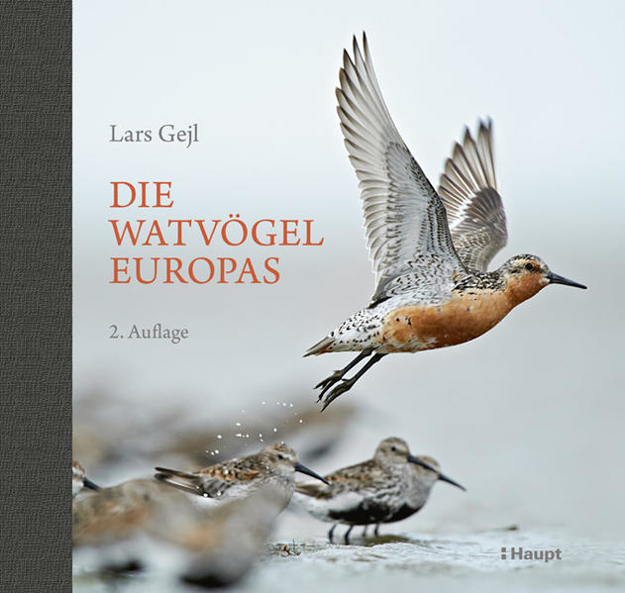 Bild zu Die Watvögel Europas von Gejl, Lars 