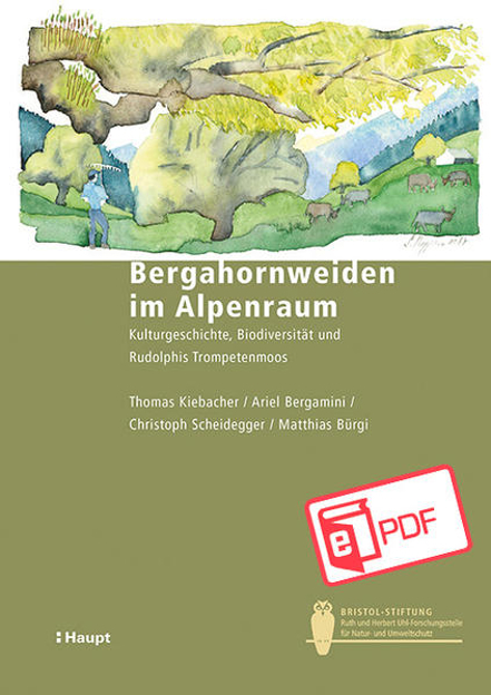 Bild zu Bergahornweiden im Alpenraum (eBook) von Bürgi, Matthias 