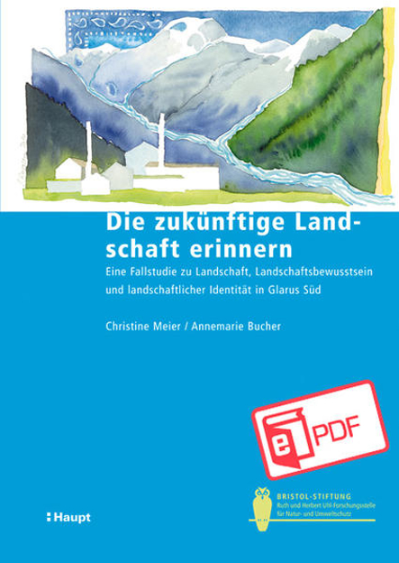 Bild zu Die zukünftige Landschaft erinnern (eBook) von Bucher, Annemarie 