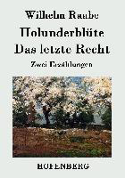 Bild zu Holunderblüte / Das letzte Recht von Wilhelm Raabe