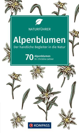 Bild zu Alpenblumen