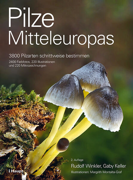 Bild zu Pilze Mitteleuropas von Winkler, Rudolf 