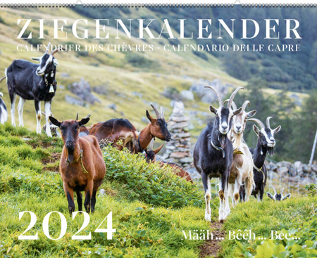 Bild zu Ziegenkalender / Calendrier des chèvres / Calendario delle capre 2024