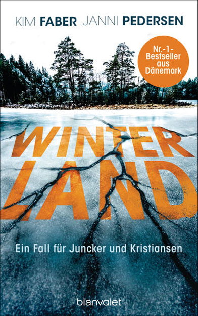 Bild zu Winterland (eBook) von Faber, Kim 